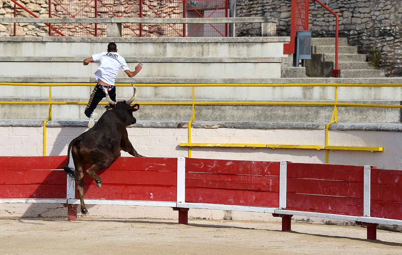 于第五级别